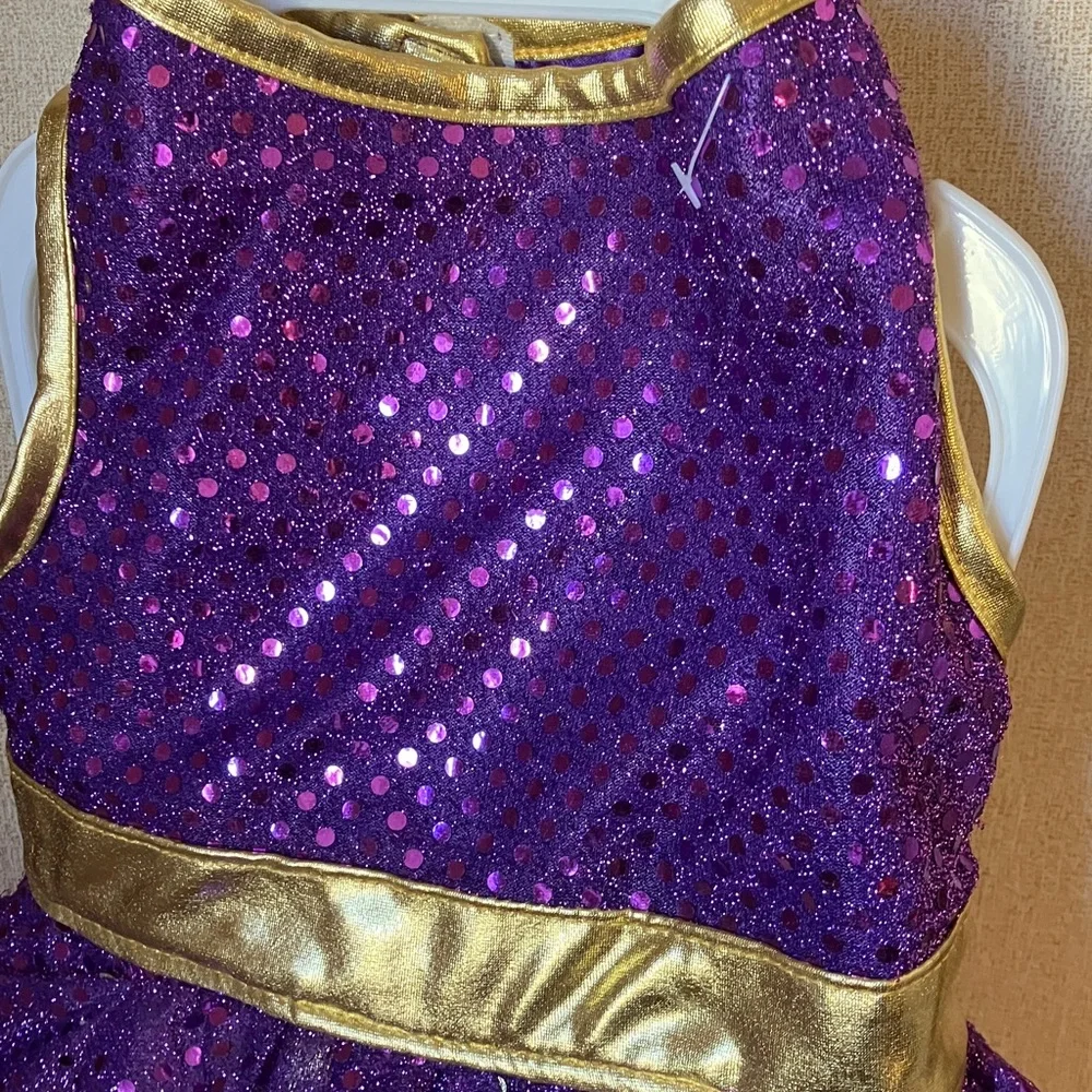 Sparkling Purple and Gold Dogs Rapunzel Costume Medium